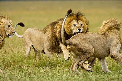 《尼尔：机械纪元》发售6周年纪念直播 10月1日举行